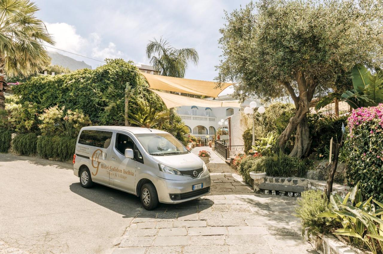 Hotel Galidon Wellness Park & Spa Forio di Ischia Esterno foto